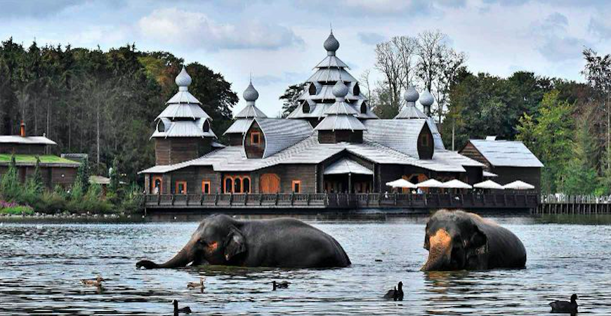 Pairi Daiza Tickets Tickets Met Korting Prijzen En Aanbiedingen